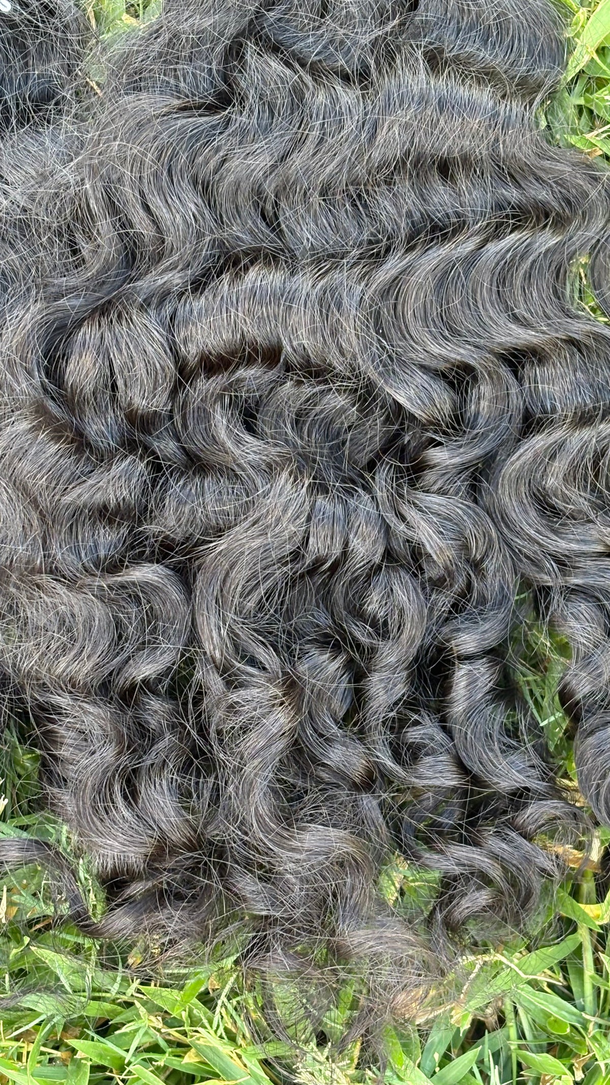 Raw virgin natural curly hair